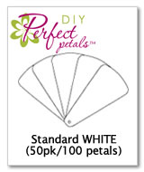 DIY Fan Programs - White