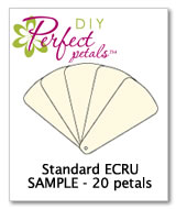 DIY fan program sample