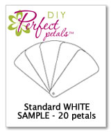 DIY Fan program kit