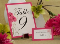 Lipstick Daisy Table & PlacecardPicture