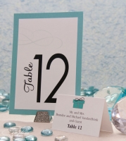 Tiffany Table & PlacecardPicture