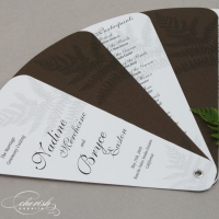 Cocoa Fern Fan ProgramPicture