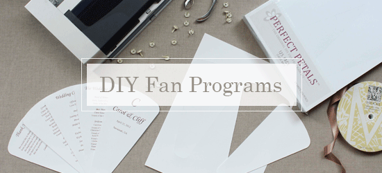 DIY Fam Programs by Cherish Paperie